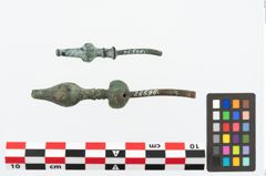 Foto von Bronzegewandnadelspitzenschoner (NHMW-PRAE-026596)